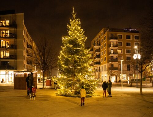 Weihnachten in der Seestadt