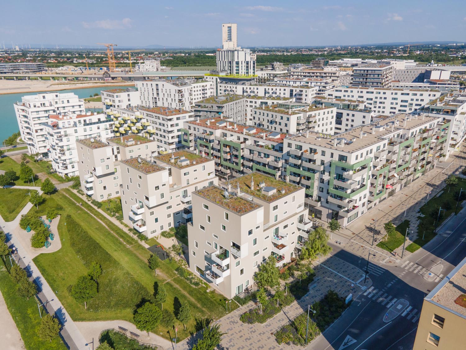PionierquartiermitextensivenDachbegrnungenLuizaPuiu